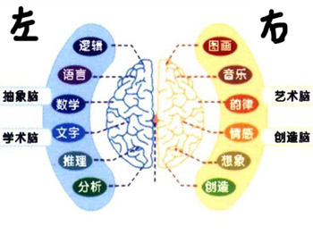 右腦開發