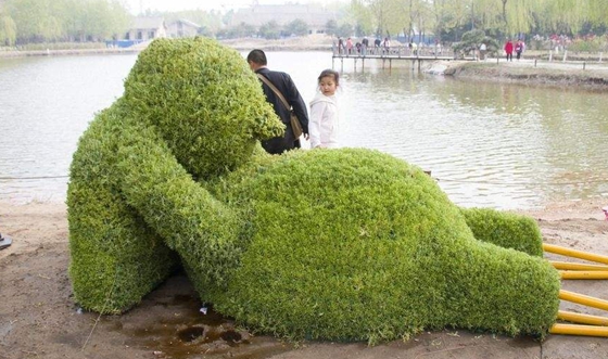 為什么植物也要睡覺,會睡覺的植物有哪些