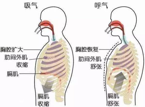 人為什么會岔氣,岔氣了怎么辦