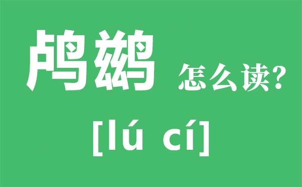 鸕鶿怎么讀,鸕鶿捕魚為什么不吃,鸕鶿多少錢一只