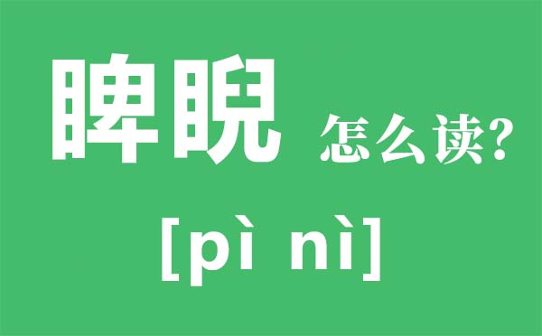 睥睨怎么讀拼音是什么,睥睨是什么意思,睥睨的讀音是什么