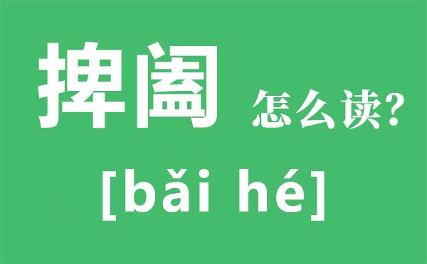 捭闔怎么讀拼音是什么,捭闔是什么意思,縱橫捭闔的的意思是什么