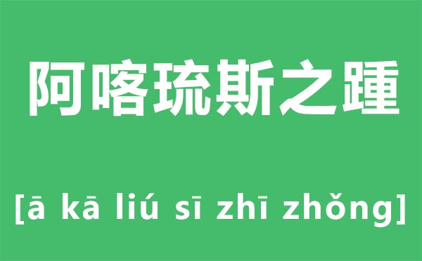 阿喀琉斯之踵怎么讀,阿喀琉斯之踵什么意思