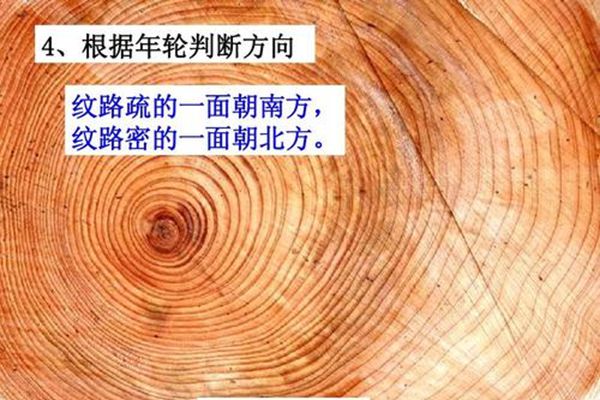 指南針為什么不叫指北針,大自然的指南針有哪些