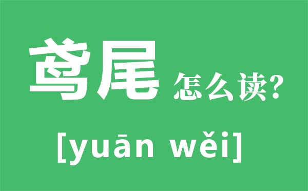 鳶尾怎么讀拼音是什么,鳶尾是什么,鳶尾花花語是什么