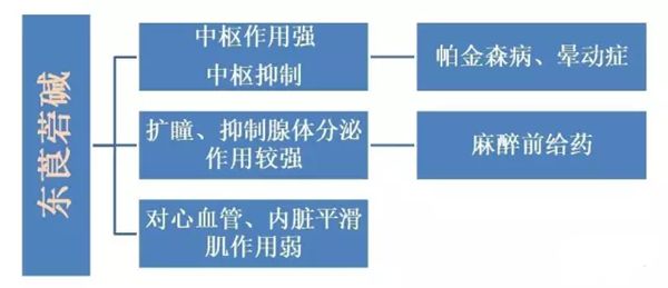 東莨菪堿的功效與作用