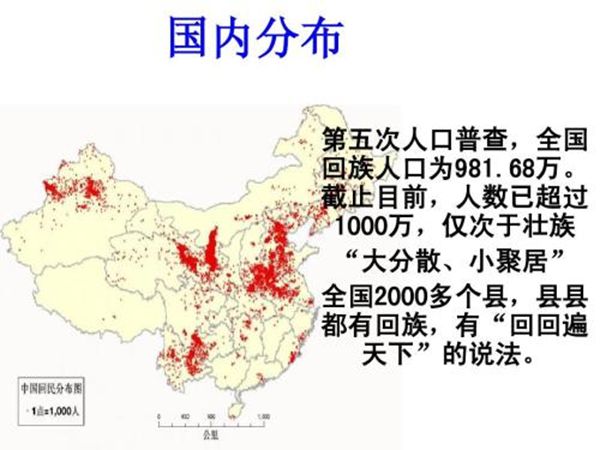 回族為什么不吃豬肉,回族人不吃豬肉的真正原因