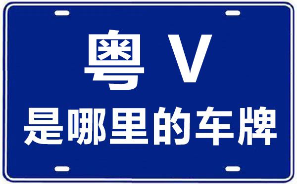 粵V是哪里的車牌號,揭陽的車牌號是粵什么