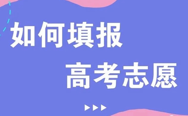 2021年新高考志愿填報技巧,新高考該如何填報志愿