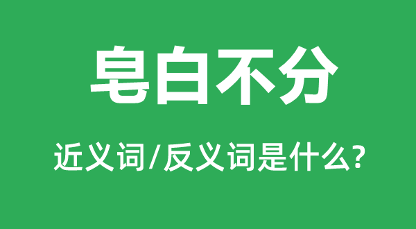 皂白不分的近義詞和反義詞是什么,皂白不分是什么意思