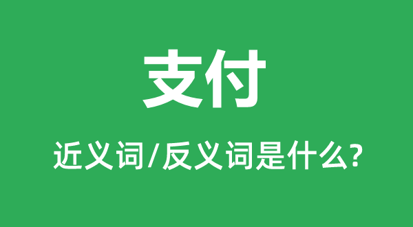 支付的近義詞和反義詞是什么,支付是什么意思