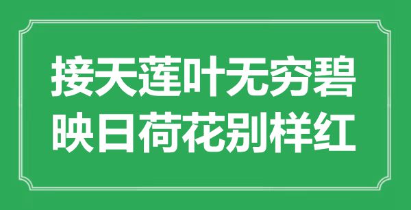 ““接天蓮葉無窮碧，映日荷花別樣紅”是什么意思_出處是哪里