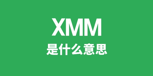 XMM是什么意思