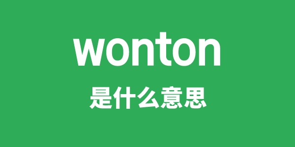 wonton是什么意思