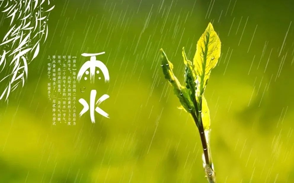 雨水節(jié)氣的含義是什么,雨水節(jié)氣的特點(diǎn)和風(fēng)俗簡介