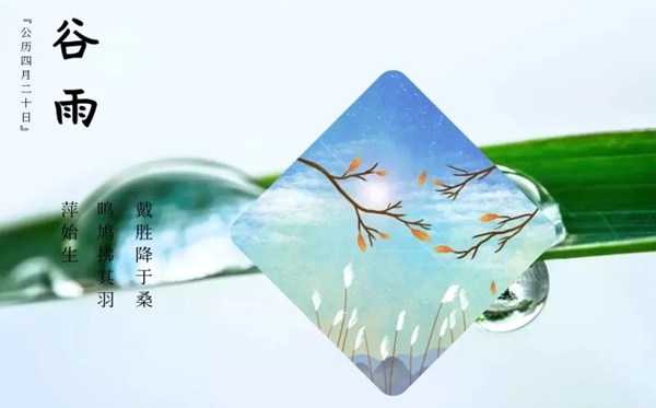 谷雨節(jié)氣的含義是什么,谷雨節(jié)氣的特點(diǎn)和風(fēng)俗簡介