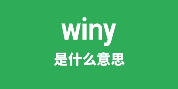 winy是什么意思