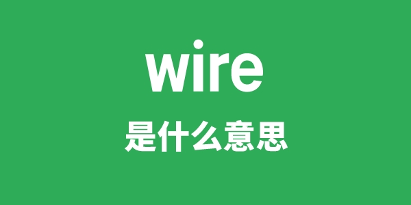 wire是什么意思