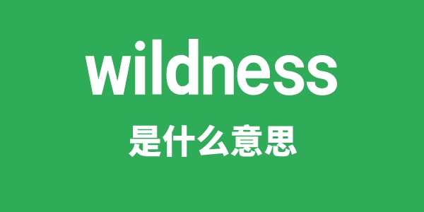 wildness是什么意思