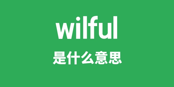 wilful是什么意思