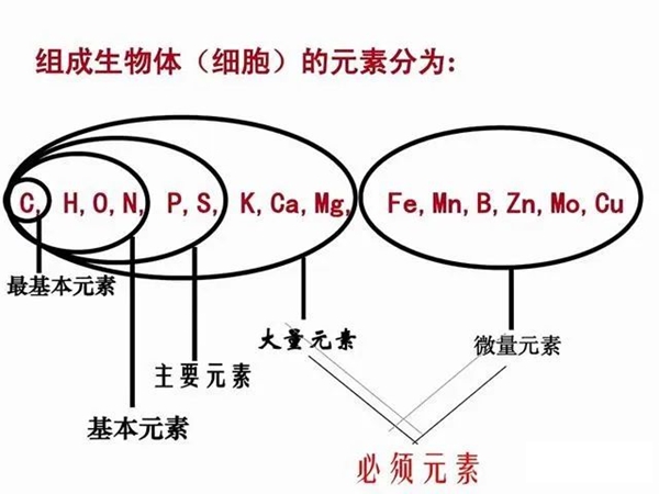 硅基生物是什么意思,硅基生物和碳基生物的區別是什么