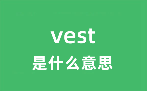 vest是什么意思