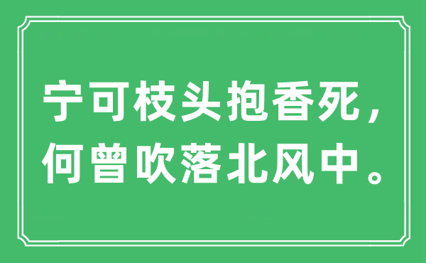 “寧可枝頭抱香死，何曾吹落北風中。”是什么意思,出處及原文翻譯