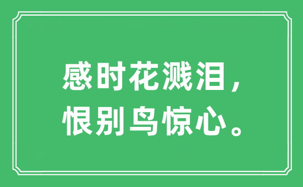 “感時花濺淚，恨別鳥驚心”是什么意思,出處及原文翻譯