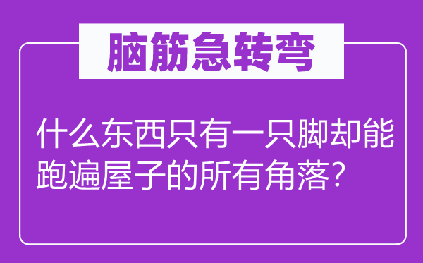 腦筋急轉彎：什么東西只有一只腳卻能跑遍屋子的所有角落？