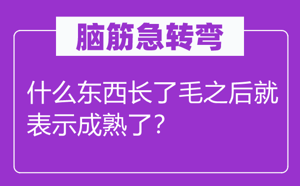 腦筋急轉彎：什么東西長了毛之后就表示成熟了？