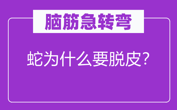 腦筋急轉彎：蛇為什么要脫皮？