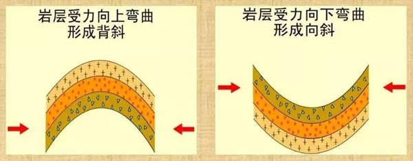 地球上為什么會有山,山是怎么形成的？