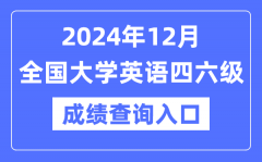 2024年12月英語四六級成績查詢官網