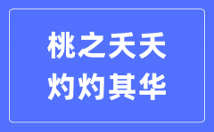 桃之夭夭，灼灼其華是什么意