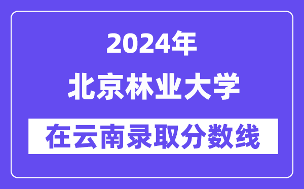 北京林業大學2024年在云南錄取分數線一覽表（2025年參考）