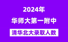 2024年華師一附中考入清華北